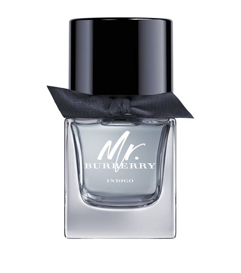 mr burberry eau toilette price|mr burberry indigo 50ml.